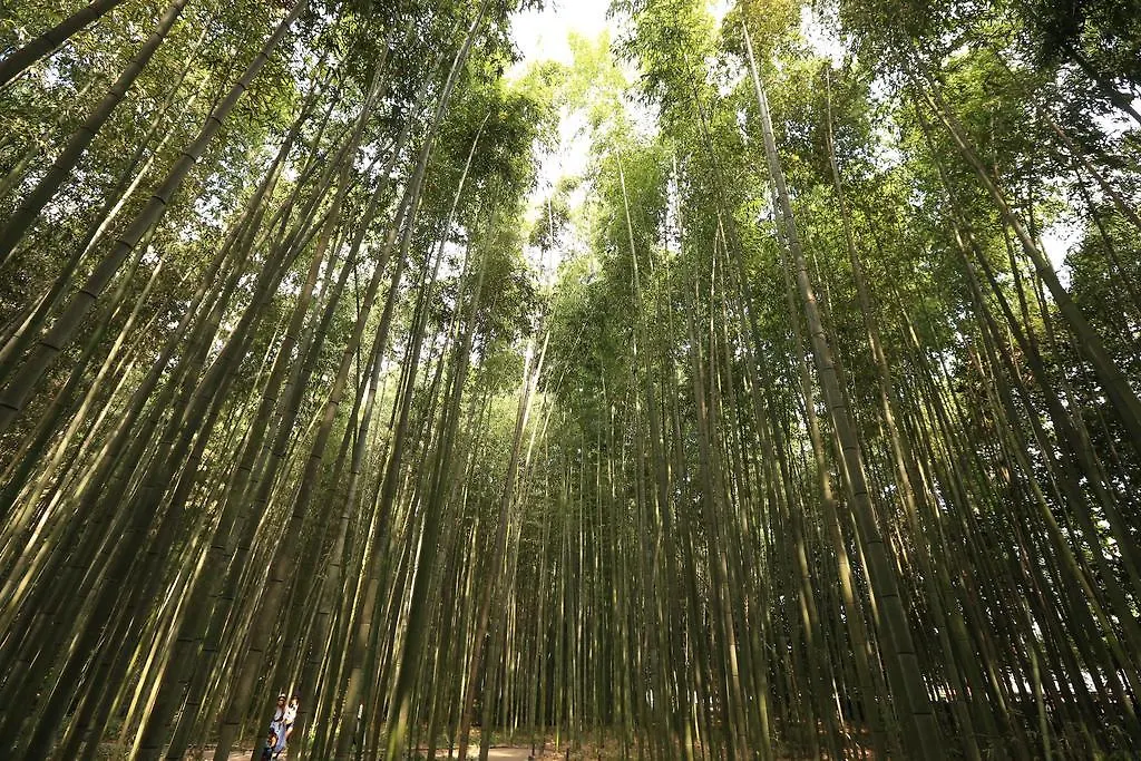 The Grandwest Arashiyama Aparthotel Kyoto
