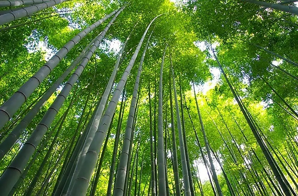 The Grandwest Arashiyama Aparthotel Kyoto
